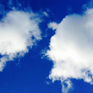 Meet your Posher, Ryhen